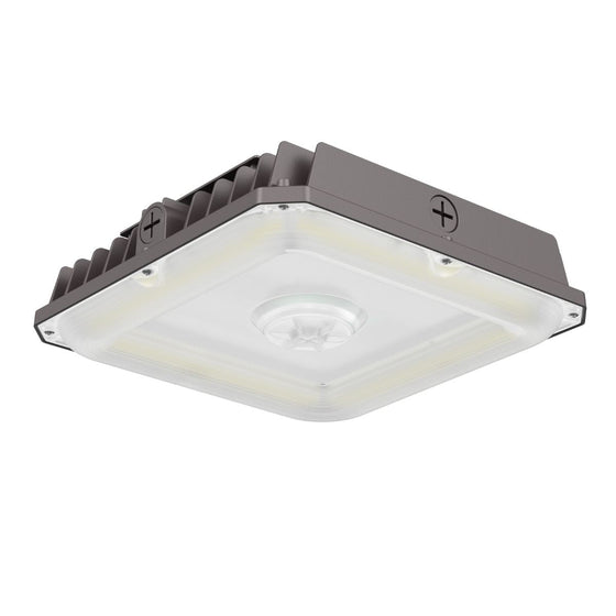 Canopy Light – Standard – 40W/60W/75W