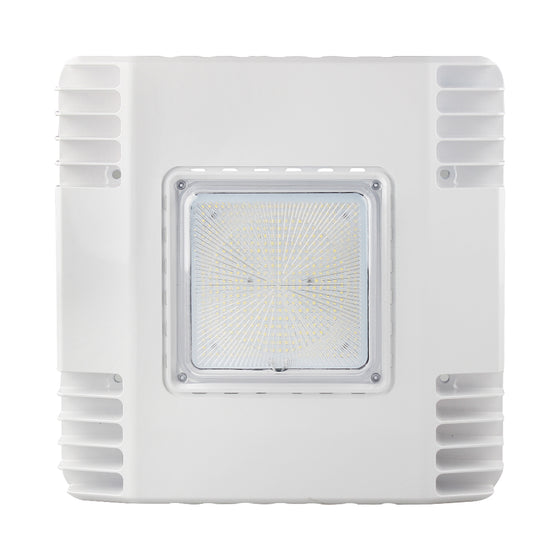 Canopy – Standard – 150W