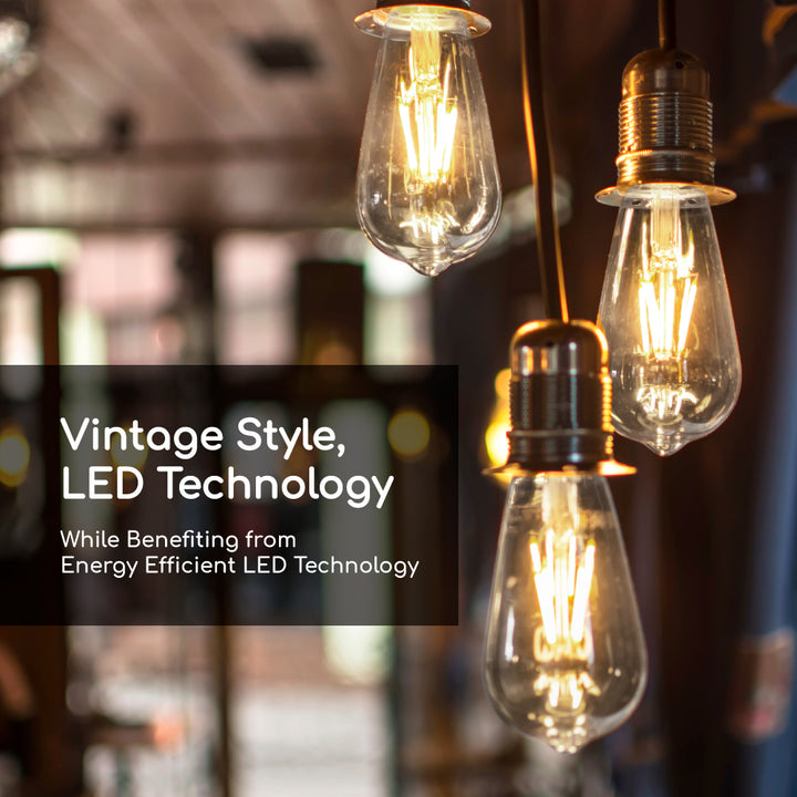 LED St19 75W Dim Energy Star - VST19-3000E close-up detail