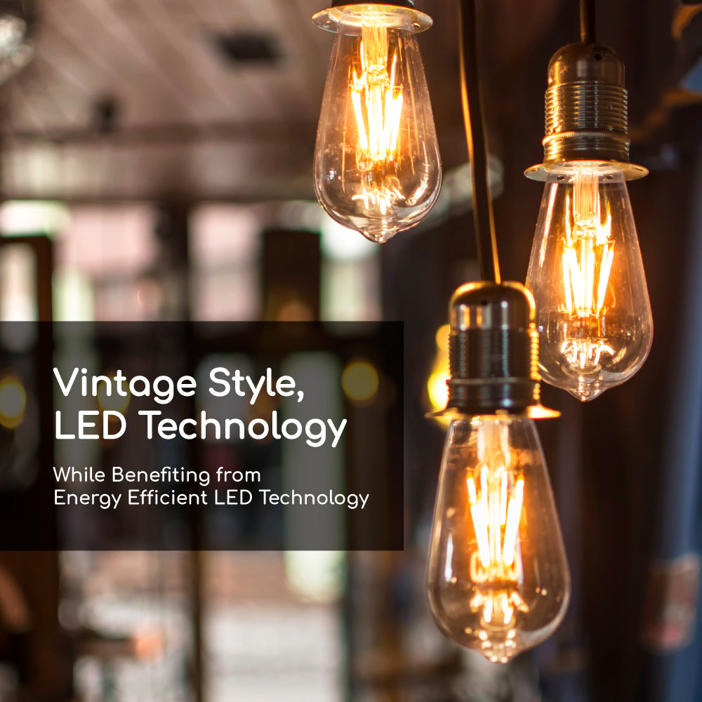 LED St19 75W Dim Energy Star - VST19-3020E close-up detail