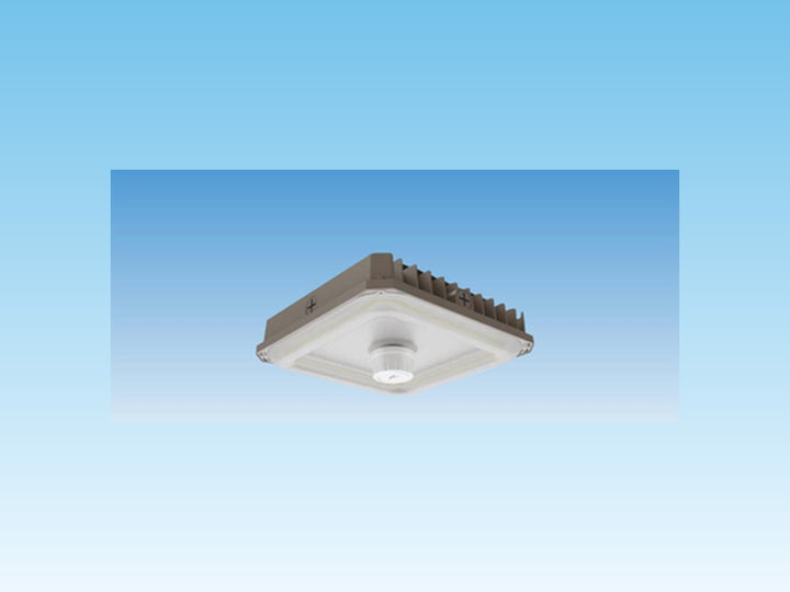 Canopy – 80W/60W/40W – Wattage Selectable – Garage - Image 3