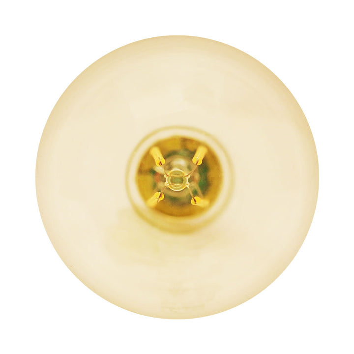 LED G25 75W Dim Energy Star product image