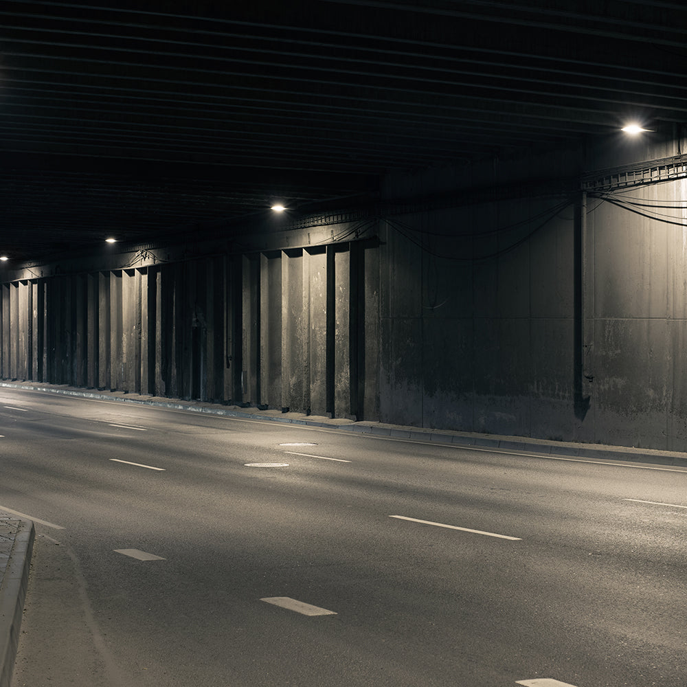 LED Wp Dim Dlc installation view