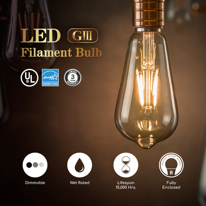 LED St19 75W Dim Energy Star - VST19-3000E product image