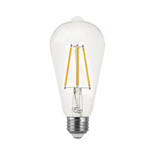 LED St19 75W Dim Energy Star - VST19-3020E product image
