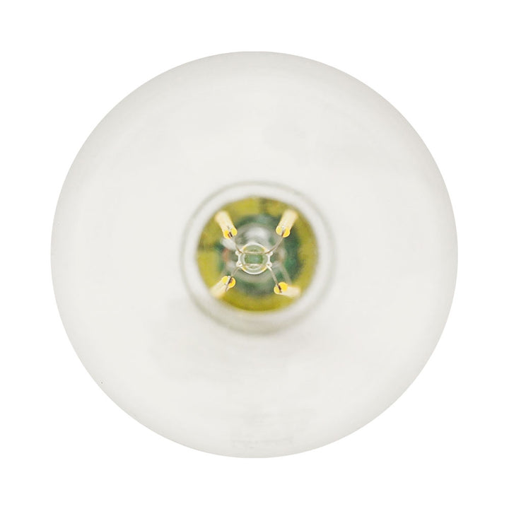 LED G25 100W Dim Energy Star product image