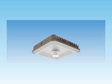 Honya Canopy Lights HYA-GC2-100W-FG-H-TCP-3CCT